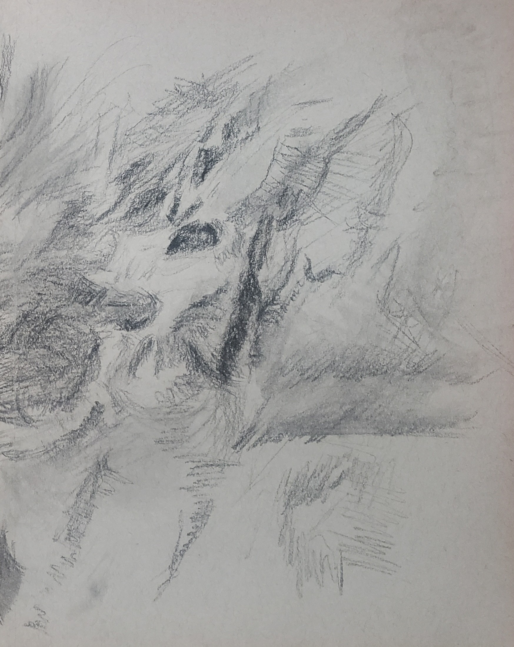 Artwork 5